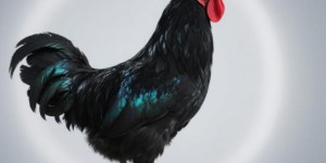 烟锁重楼指什么最佳生肖，词语解答解析落实